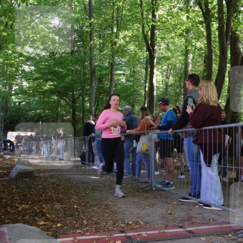 28.09.2025 - 33. Volkslauf durch das schöne Alstertal Strokosch-Dieckow http://msf.ph/oto/8954232 28.09.2025 12:39:14 Ziel 2353, 2544, 2567 meine-sportfotos.de