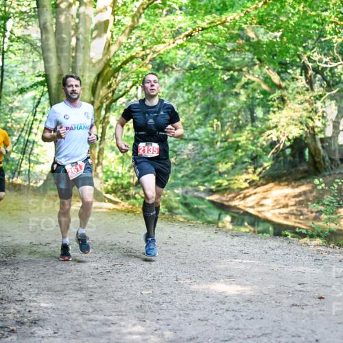 28.09.2025 - 33. Volkslauf durch das schöne Alstertal Dr. Thomas Lammeyer http://msf.ph/oto/8954234 28.09.2025 10:38:12 Laufen 2528, 2617, 2135 meine-sportfotos.de