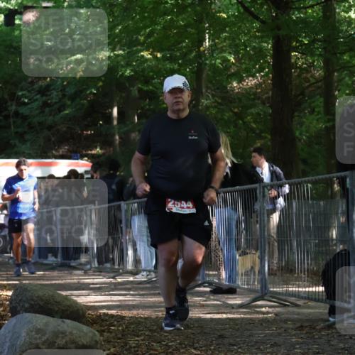 28.09.2025 - 33. Volkslauf durch das schöne Alstertal Strokosch-Dieckow http://msf.ph/oto/8954240 28.09.2025 12:39:18 Ziel 2544, 2567 meine-sportfotos.de