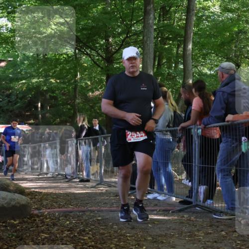 28.09.2025 - 33. Volkslauf durch das schöne Alstertal Strokosch-Dieckow http://msf.ph/oto/8954246 28.09.2025 12:39:20 Ziel 2028, 2544, 2567 meine-sportfotos.de