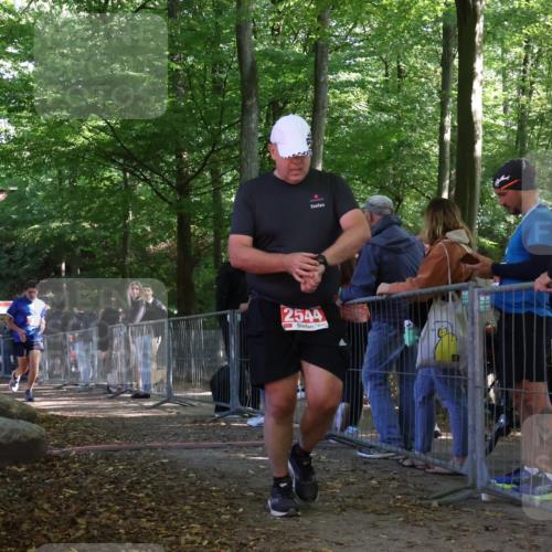 28.09.2025 - 33. Volkslauf durch das schöne Alstertal Strokosch-Dieckow http://msf.ph/oto/8954249 28.09.2025 12:39:20 Ziel 2028, 2544, 2567 meine-sportfotos.de