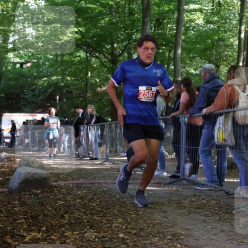 28.09.2025 - 33. Volkslauf durch das schöne Alstertal Strokosch-Dieckow http://msf.ph/oto/8954260 28.09.2025 12:39:24 Ziel 2028, 2567 meine-sportfotos.de