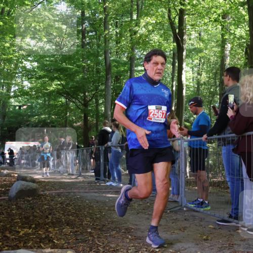 28.09.2025 - 33. Volkslauf durch das schöne Alstertal Strokosch-Dieckow http://msf.ph/oto/8954263 28.09.2025 12:39:25 Ziel 2028 meine-sportfotos.de