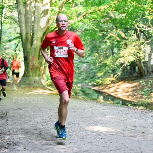 28.09.2025 - 33. Volkslauf durch das schöne Alstertal Dr. Thomas Lammeyer http://msf.ph/oto/8954267 28.09.2025 10:38:16 Laufen 2204 meine-sportfotos.de