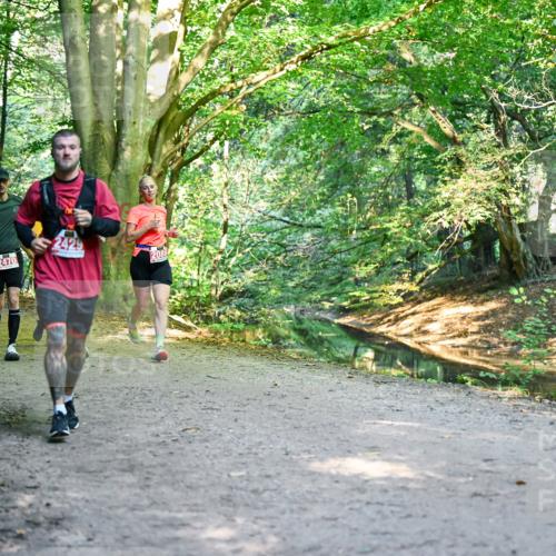 28.09.2025 - 33. Volkslauf durch das schöne Alstertal Dr. Thomas Lammeyer http://msf.ph/oto/8954271 28.09.2025 10:38:18 Laufen 2619, 2429, 2470, 2086 meine-sportfotos.de