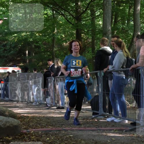 28.09.2025 - 33. Volkslauf durch das schöne Alstertal Strokosch-Dieckow http://msf.ph/oto/8954272 28.09.2025 12:39:27 Ziel 2028 meine-sportfotos.de