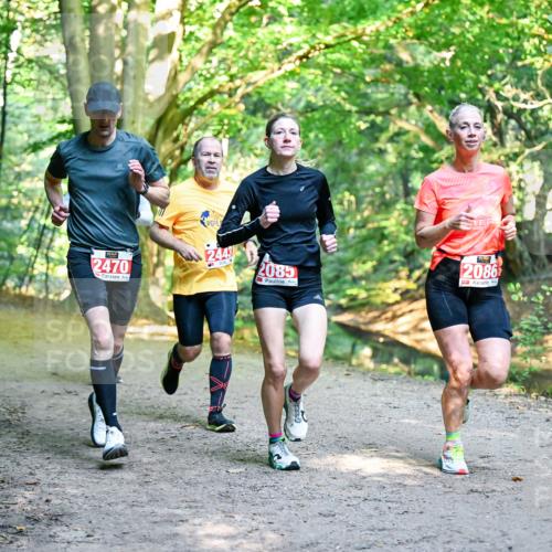 28.09.2025 - 33. Volkslauf durch das schöne Alstertal Dr. Thomas Lammeyer http://msf.ph/oto/8954293 28.09.2025 10:38:20 Laufen 2470, 2443, 2085, 2086 meine-sportfotos.de