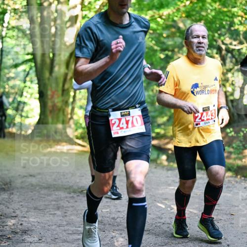 28.09.2025 - 33. Volkslauf durch das schöne Alstertal Dr. Thomas Lammeyer http://msf.ph/oto/8954305 28.09.2025 10:38:21 Laufen 2470, 2443, 2085 meine-sportfotos.de
