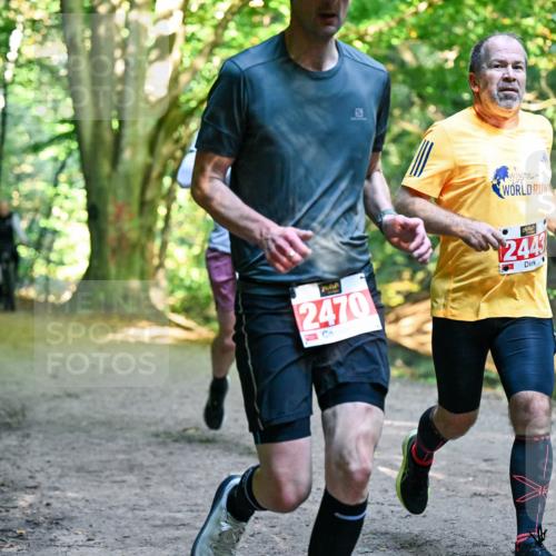 28.09.2025 - 33. Volkslauf durch das schöne Alstertal Dr. Thomas Lammeyer http://msf.ph/oto/8954307 28.09.2025 10:38:22 Laufen 2470, 2443 meine-sportfotos.de