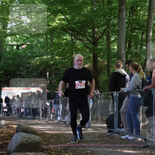 28.09.2025 - 33. Volkslauf durch das schöne Alstertal Strokosch-Dieckow http://msf.ph/oto/8954309 28.09.2025 12:39:47 Ziel 2242 meine-sportfotos.de