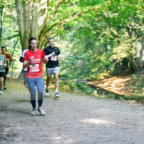 28.09.2025 - 33. Volkslauf durch das schöne Alstertal Dr. Thomas Lammeyer http://msf.ph/oto/8954315 28.09.2025 10:38:28 Laufen 2522 meine-sportfotos.de