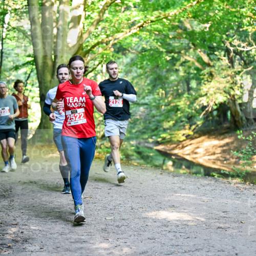 28.09.2025 - 33. Volkslauf durch das schöne Alstertal Dr. Thomas Lammeyer http://msf.ph/oto/8954319 28.09.2025 10:38:29 Laufen 2522, 2126 meine-sportfotos.de