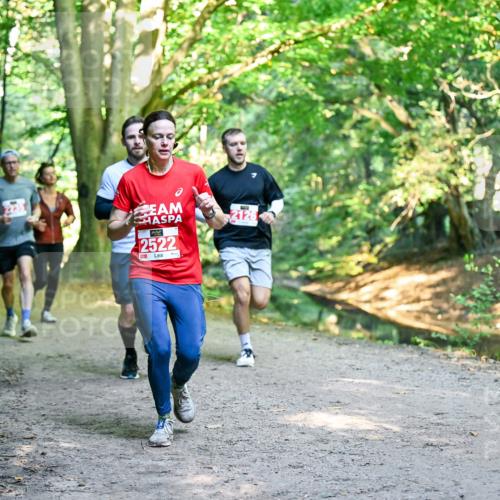 28.09.2025 - 33. Volkslauf durch das schöne Alstertal Dr. Thomas Lammeyer http://msf.ph/oto/8954321 28.09.2025 10:38:29 Laufen 2522 meine-sportfotos.de
