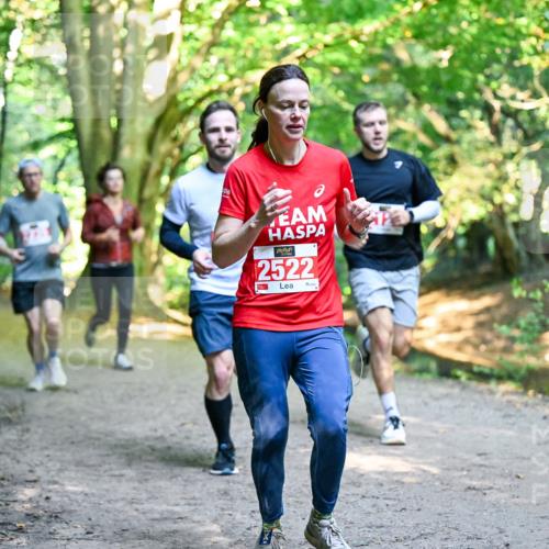 28.09.2025 - 33. Volkslauf durch das schöne Alstertal Dr. Thomas Lammeyer http://msf.ph/oto/8954328 28.09.2025 10:38:29 Laufen 2522 meine-sportfotos.de