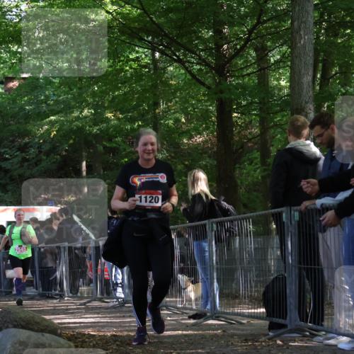 28.09.2025 - 33. Volkslauf durch das schöne Alstertal Strokosch-Dieckow http://msf.ph/oto/8954335 28.09.2025 12:40:31 Ziel 1120, 2369, 2545 meine-sportfotos.de