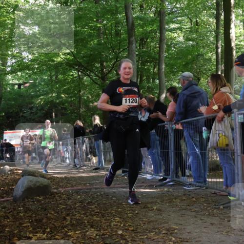 28.09.2025 - 33. Volkslauf durch das schöne Alstertal Strokosch-Dieckow http://msf.ph/oto/8954343 28.09.2025 12:40:33 Ziel 1120, 1579, 2369, 2545 meine-sportfotos.de