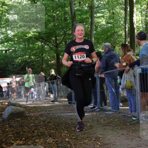 28.09.2025 - 33. Volkslauf durch das schöne Alstertal Strokosch-Dieckow http://msf.ph/oto/8954346 28.09.2025 12:40:33 Ziel 1120, 1579, 2369, 2545 meine-sportfotos.de