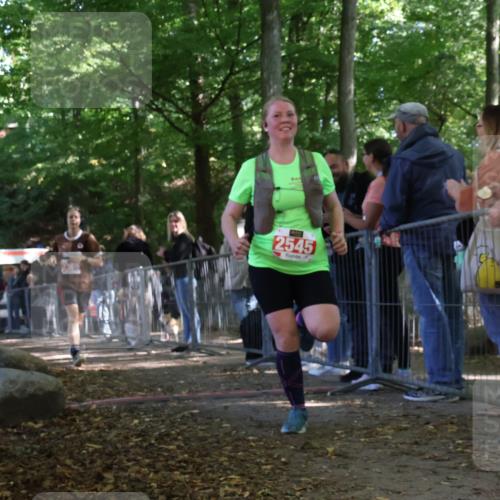 28.09.2025 - 33. Volkslauf durch das schöne Alstertal Strokosch-Dieckow http://msf.ph/oto/8954352 28.09.2025 12:40:35 Ziel 1566, 1579, 2369, 2545 meine-sportfotos.de