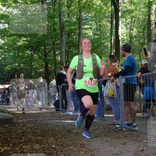 28.09.2025 - 33. Volkslauf durch das schöne Alstertal Strokosch-Dieckow http://msf.ph/oto/8954356 28.09.2025 12:40:35 Ziel 1566, 1579, 2369, 2545 meine-sportfotos.de