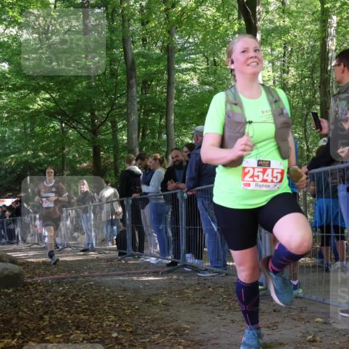 28.09.2025 - 33. Volkslauf durch das schöne Alstertal Strokosch-Dieckow http://msf.ph/oto/8954358 28.09.2025 12:40:35 Ziel 1566, 1579, 2369, 2545 meine-sportfotos.de