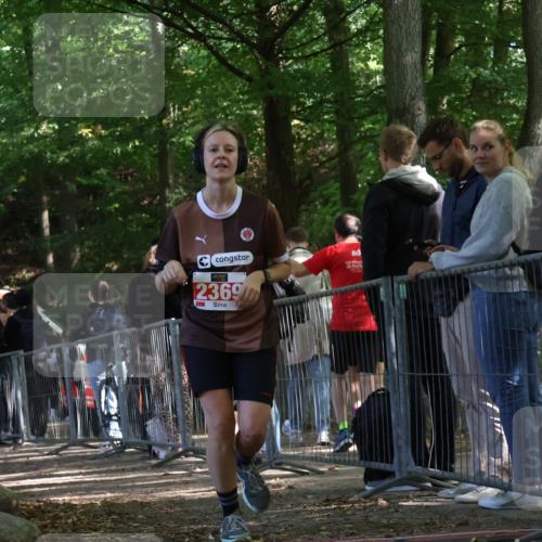 28.09.2025 - 33. Volkslauf durch das schöne Alstertal Strokosch-Dieckow http://msf.ph/oto/8954361 28.09.2025 12:40:36 Ziel 1566, 1579, 2369, 2545 meine-sportfotos.de