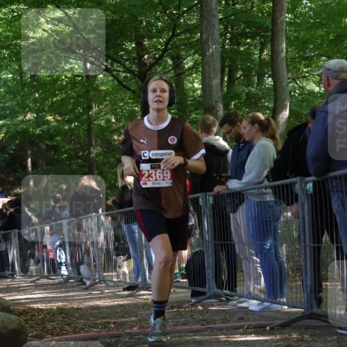 28.09.2025 - 33. Volkslauf durch das schöne Alstertal Strokosch-Dieckow http://msf.ph/oto/8954364 28.09.2025 12:40:37 Ziel 1566, 1579, 2369 meine-sportfotos.de