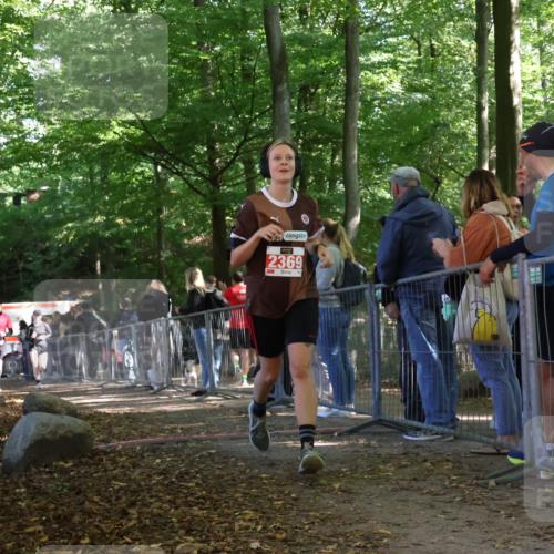 28.09.2025 - 33. Volkslauf durch das schöne Alstertal Strokosch-Dieckow http://msf.ph/oto/8954367 28.09.2025 12:40:37 Ziel 1566, 1579, 2369 meine-sportfotos.de