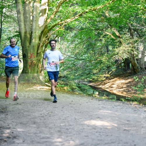 28.09.2025 - 33. Volkslauf durch das schöne Alstertal Dr. Thomas Lammeyer http://msf.ph/oto/8954369 28.09.2025 10:38:35 Laufen 2593, 2424, 2999 meine-sportfotos.de