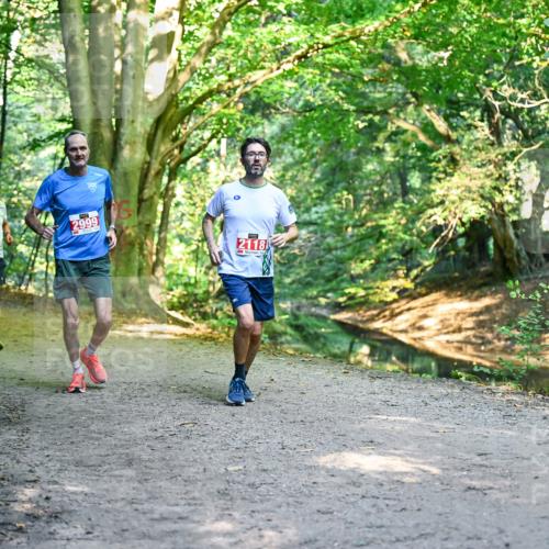 28.09.2025 - 33. Volkslauf durch das schöne Alstertal Dr. Thomas Lammeyer http://msf.ph/oto/8954375 28.09.2025 10:38:36 Laufen 2424, 2999, 2118 meine-sportfotos.de