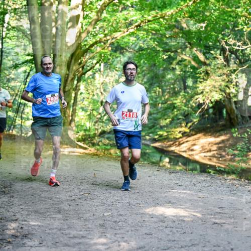 28.09.2025 - 33. Volkslauf durch das schöne Alstertal Dr. Thomas Lammeyer http://msf.ph/oto/8954378 28.09.2025 10:38:36 Laufen 2424, 2999, 2118 meine-sportfotos.de