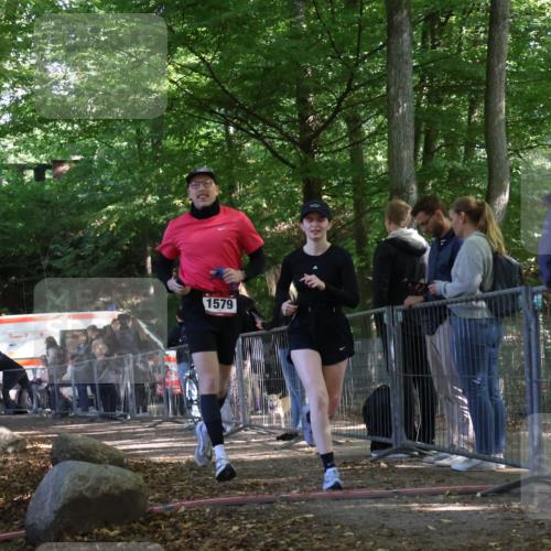 28.09.2025 - 33. Volkslauf durch das schöne Alstertal Strokosch-Dieckow http://msf.ph/oto/8954381 28.09.2025 12:40:42 Ziel 1566, 1579 meine-sportfotos.de