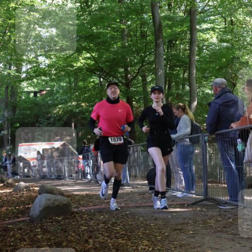 28.09.2025 - 33. Volkslauf durch das schöne Alstertal Strokosch-Dieckow http://msf.ph/oto/8954384 28.09.2025 12:40:42 Ziel 1566, 1579 meine-sportfotos.de