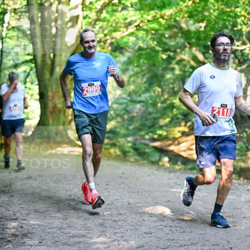 28.09.2025 - 33. Volkslauf durch das schöne Alstertal Dr. Thomas Lammeyer http://msf.ph/oto/8954385 28.09.2025 10:38:37 Laufen 2999, 2118 meine-sportfotos.de