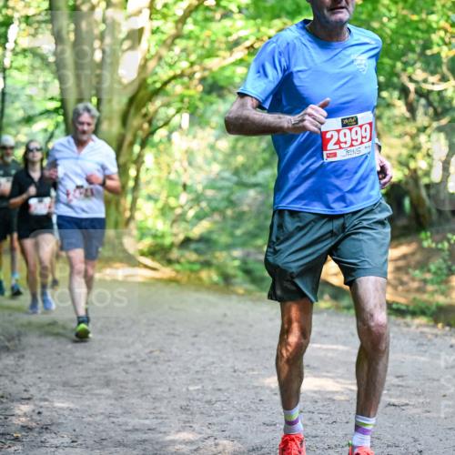 28.09.2025 - 33. Volkslauf durch das schöne Alstertal Dr. Thomas Lammeyer http://msf.ph/oto/8954394 28.09.2025 10:38:38 Laufen 2999 meine-sportfotos.de