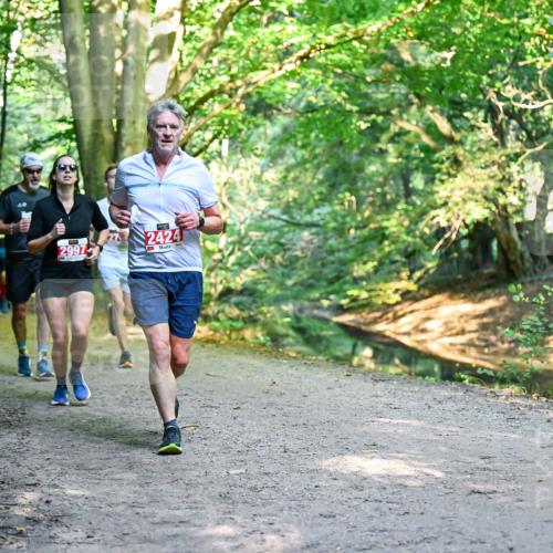 28.09.2025 - 33. Volkslauf durch das schöne Alstertal Dr. Thomas Lammeyer http://msf.ph/oto/8954397 28.09.2025 10:38:39 Laufen 29972424 meine-sportfotos.de