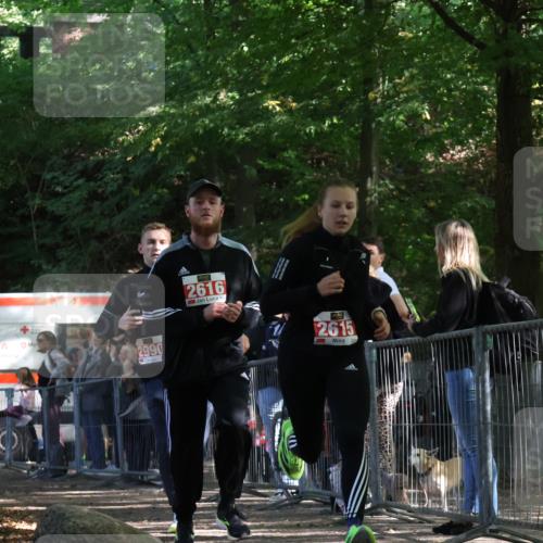 28.09.2025 - 33. Volkslauf durch das schöne Alstertal Strokosch-Dieckow http://msf.ph/oto/8954398 28.09.2025 12:40:51 Ziel 2615, 2616, 2990 meine-sportfotos.de
