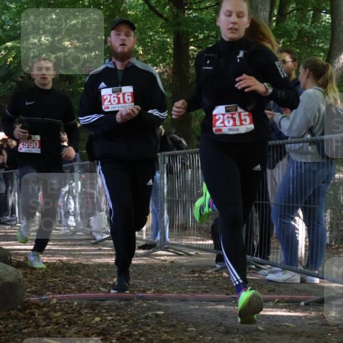 28.09.2025 - 33. Volkslauf durch das schöne Alstertal Strokosch-Dieckow http://msf.ph/oto/8954403 28.09.2025 12:40:52 Ziel 2615, 2616, 2990 meine-sportfotos.de