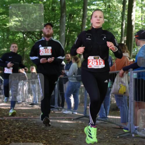 28.09.2025 - 33. Volkslauf durch das schöne Alstertal Strokosch-Dieckow http://msf.ph/oto/8954406 28.09.2025 12:40:52 Ziel 2615, 2616, 2990 meine-sportfotos.de