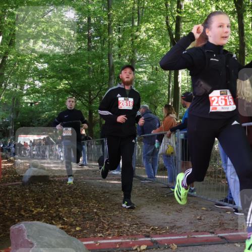 28.09.2025 - 33. Volkslauf durch das schöne Alstertal Strokosch-Dieckow http://msf.ph/oto/8954409 28.09.2025 12:40:53 Ziel 2615, 2616, 2990 meine-sportfotos.de