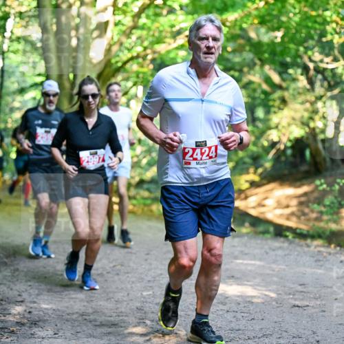 28.09.2025 - 33. Volkslauf durch das schöne Alstertal Dr. Thomas Lammeyer http://msf.ph/oto/8954410 28.09.2025 10:38:40 Laufen 2997, 2424 meine-sportfotos.de