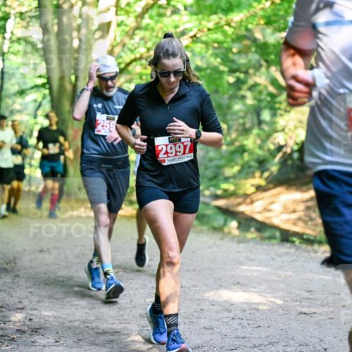 28.09.2025 - 33. Volkslauf durch das schöne Alstertal Dr. Thomas Lammeyer http://msf.ph/oto/8954415 28.09.2025 10:38:41 Laufen 25, 2997, 2424 meine-sportfotos.de