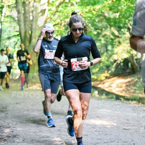 28.09.2025 - 33. Volkslauf durch das schöne Alstertal Dr. Thomas Lammeyer http://msf.ph/oto/8954417 28.09.2025 10:38:41 Laufen 259, 29, 1, 24 meine-sportfotos.de