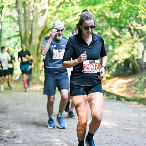 28.09.2025 - 33. Volkslauf durch das schöne Alstertal Dr. Thomas Lammeyer http://msf.ph/oto/8954418 28.09.2025 10:38:41 Laufen 2997 meine-sportfotos.de