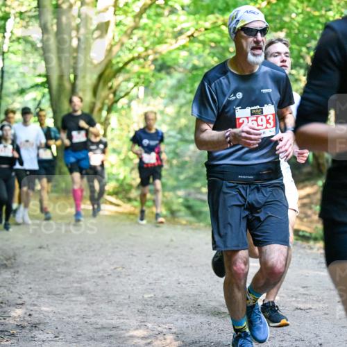 28.09.2025 - 33. Volkslauf durch das schöne Alstertal Dr. Thomas Lammeyer http://msf.ph/oto/8954421 28.09.2025 10:38:42 Laufen 2593, 2997 meine-sportfotos.de