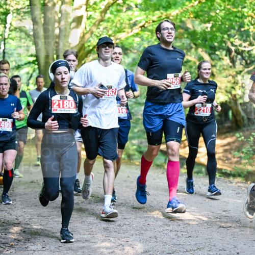 28.09.2025 - 33. Volkslauf durch das schöne Alstertal Dr. Thomas Lammeyer http://msf.ph/oto/8954436 28.09.2025 10:38:45 Laufen 40, 2499, 2180, 562, 256, 2210, 2019 meine-sportfotos.de