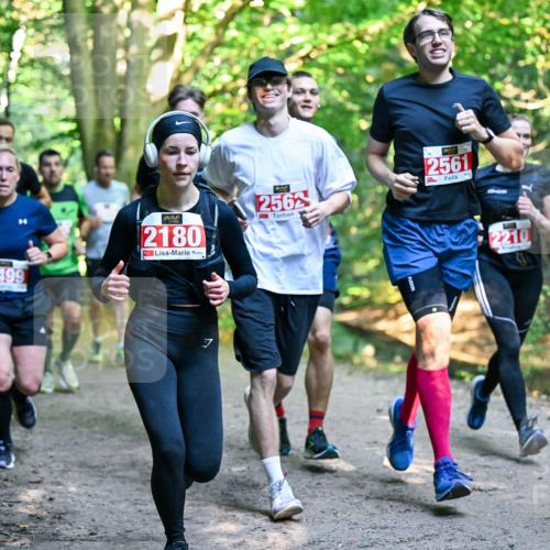 28.09.2025 - 33. Volkslauf durch das schöne Alstertal Dr. Thomas Lammeyer http://msf.ph/oto/8954440 28.09.2025 10:38:45 Laufen 2499, 2180, 2562, 2561, 2210 meine-sportfotos.de