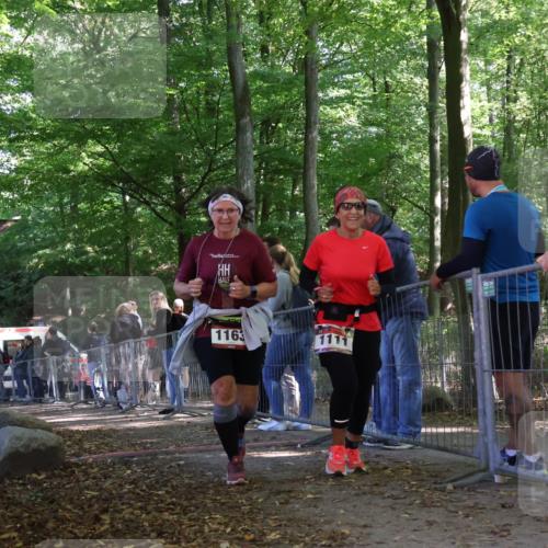 28.09.2025 - 33. Volkslauf durch das schöne Alstertal Strokosch-Dieckow http://msf.ph/oto/8954457 28.09.2025 12:41:34 Ziel 1111, 1163 meine-sportfotos.de