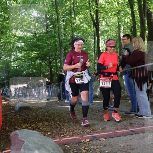28.09.2025 - 33. Volkslauf durch das schöne Alstertal Strokosch-Dieckow http://msf.ph/oto/8954464 28.09.2025 12:41:35 Ziel 1111, 1163 meine-sportfotos.de