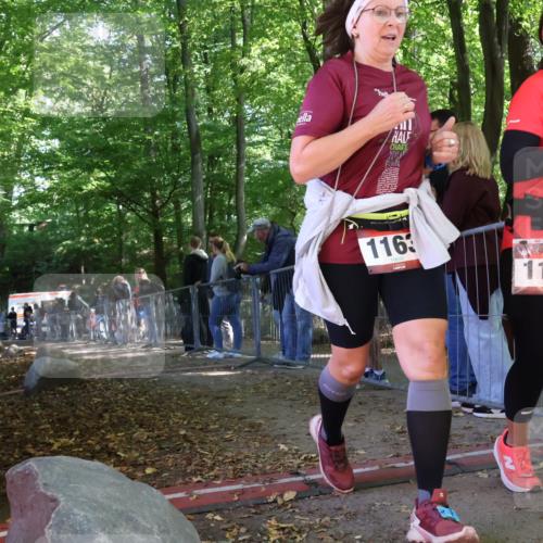 28.09.2025 - 33. Volkslauf durch das schöne Alstertal Strokosch-Dieckow http://msf.ph/oto/8954470 28.09.2025 12:41:36 Ziel  meine-sportfotos.de