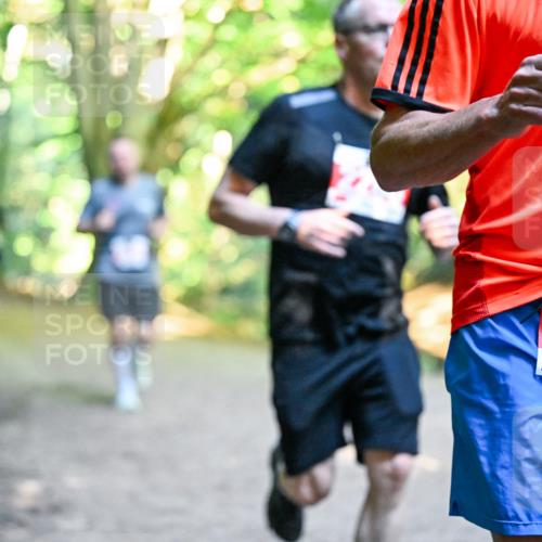 28.09.2025 - 33. Volkslauf durch das schöne Alstertal Dr. Thomas Lammeyer http://msf.ph/oto/8954475 28.09.2025 10:38:49 Laufen 2318 meine-sportfotos.de